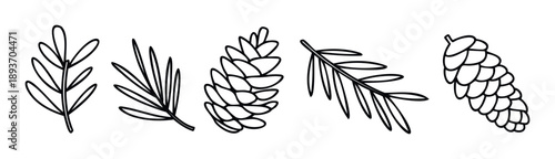 Minimalist black line drawings of festive coniferous foliage and forest pinecones perfect for rustic natural graphic resource elements and Christmas season decorations.