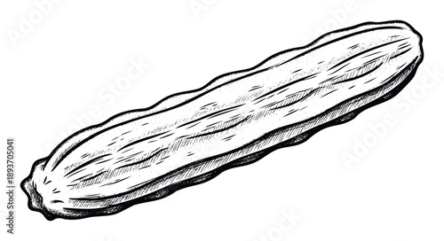Handdrawn fresh cucumber perfect for culinary themes, healthy eating advertisements, organic food product labels, and garden market promotional materials.