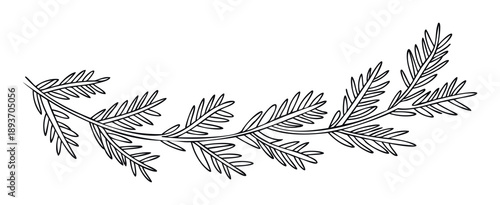 Elegant hand drawn botanical branch with numerous delicate leaves forming a gentle arch, perfect for sophisticated invitations, greeting cards, and organic product branding.