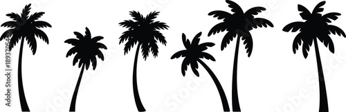 palm tree silhouette, tropical design, black and white, beach tree, stylized foliage, silhouette artwork, summer vibe, tree sketch, exotic plant, silhouette set, 