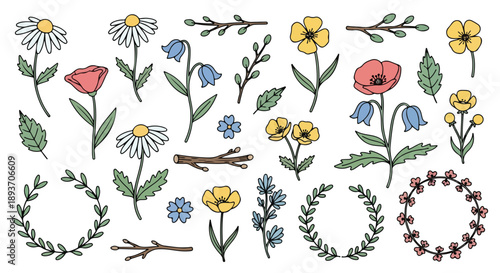 Hand Drawn Wildflower and Botanical Element Vector Set