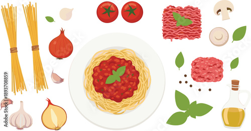 Italian pasta ingredients vector illustration with spaghetti, tomato sauce, minced meat, basil, garlic, onion and olive oil