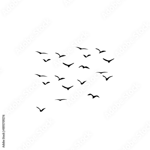 Artistic black silhouette of scattered birds in flight across a white background. Ideal for creative layouts, book covers, and modern wall art representing spontaneity and freedom.