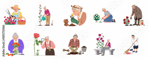 Senior Gardeners Caring for Roses: A Set of Illustrations Showing Planting, Pruning, Maintenance, and Enjoyment of the Hobby.