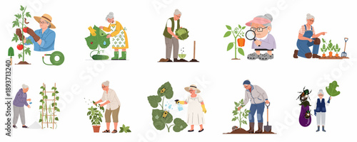 Set of vector illustrations depicting senior women actively working in the vegetable garden, performing tasks like planting, harvesting, and combating common garden pests.