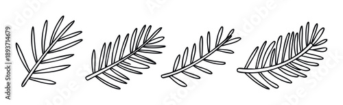 Collection of stylized hand drawn evergreen tree branches perfect for enhancing winter holiday greeting cards festive invitations and natural themed seasonal decorations for various media