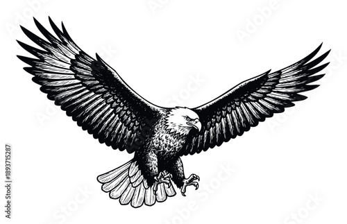 Dynamic soaring bald eagle with intense gaze and extended talons capturing a moment of raw power and freedom ideal for brand logos or apparel prints