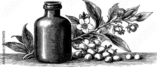 Vintage botanical engraving of milk bottle with 19th century floral elements for retro design