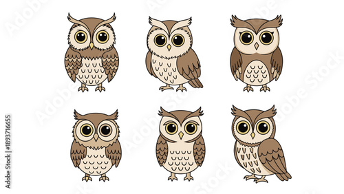Group of six cute stylized owl illustrations in various brown tones and poses shown against a plain white background.