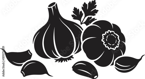 Garlic Bulb with Cloves Silhouette Vector – Whole Garlic Heads Peeled Clove Parsley