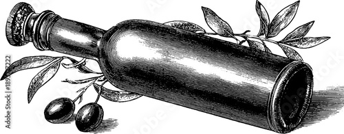 Vintage botanical olive oil bottle engraving from 19th century - design for labels and posters