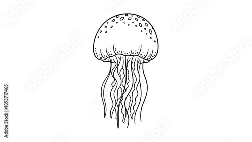 Detailed black and white line drawing of a single jellyfish with a patterned bell and long flowing thin tentacles.