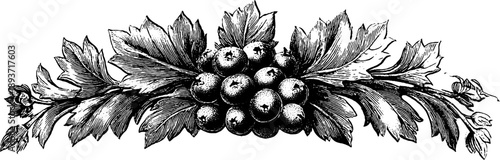 Vintage botanical ornamental crest with engraved frame for retro design