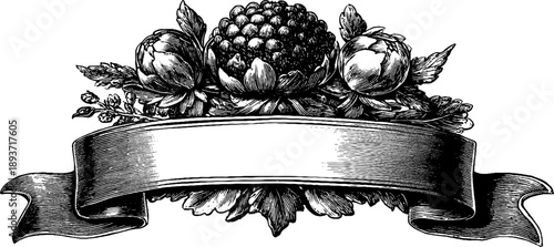 Elegant ornamental crest with ribbon and botanical elements for vintage design