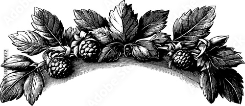 Ornamental botanical crest wreath in vintage style for design and decoration