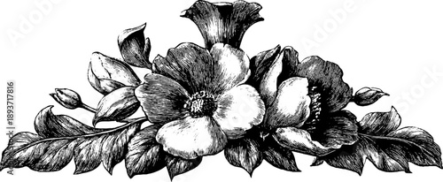 Ornamental botanical emblem medallion design for vintage label and decoration