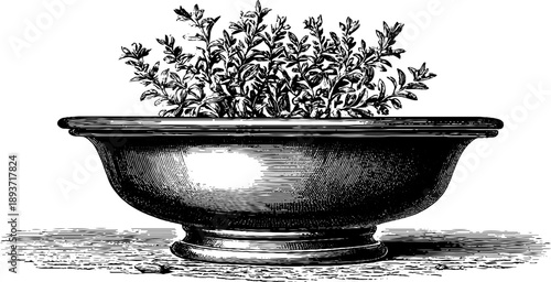 Ornamental shallow dish with botanical design - vintage engraving for decoration and design projects