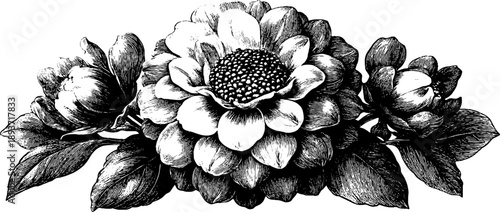 Ornamental botanical emblem with vintage medallion design for artistic decoration