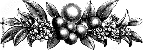 Ornamental botanical medallion with vintage floral emblem for design