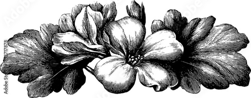 Vintage botanical ornamental emblem medallion design