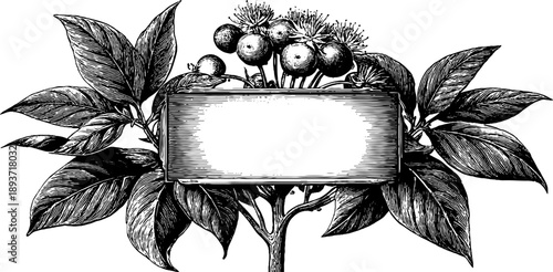 Ornamental botanical frame with blank plaque for vintage design and decoration