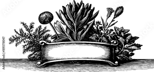 Vintage ornamental frame with botanical elements for design and decoration