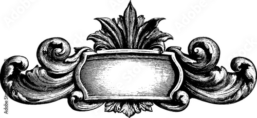 Ornamental vintage frame with symmetrical scrolls and botanical elements for design