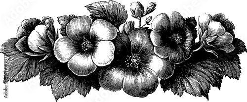 Vintage botanical engraving of ornamental floral moulding for design and decor