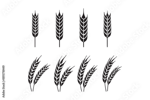 Wheat grain vector set collection agriculture harvest silhouette