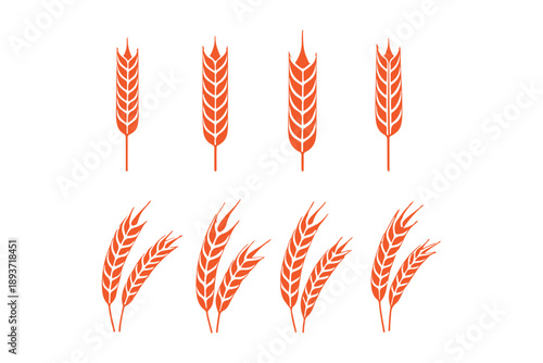 Wheat grain vector set collection agriculture harvest silhouette