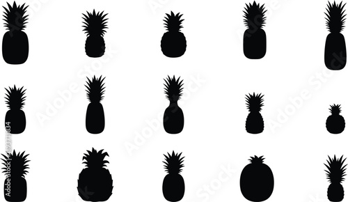 Pineapple Varieties Silhouette Vector Set