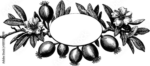 Vintage oval decorative frame with botanical motifs for elegant design projects