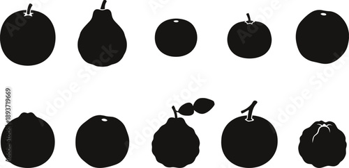 Sour & Specialty Orange Citrus Silhouette Vector Set – Seville Bergamot Calamondin Chinotto Moro Tarocco Sanguinello Kaffir Lime Orange Bigaradier Trifoliate Orange