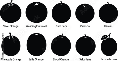  Sweet Orange Varieties Silhouette Vector Set