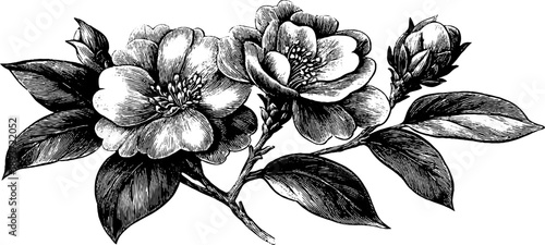 Vintage floral engraved rectangular ornamental frame design for print and decoration