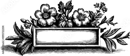 Vintage floral engraved ornamental frame design for card or poster