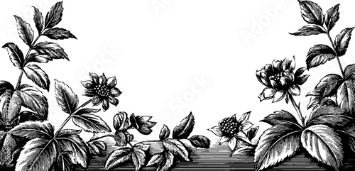 Vintage botanical engraving of rectangular wooden frame window border design