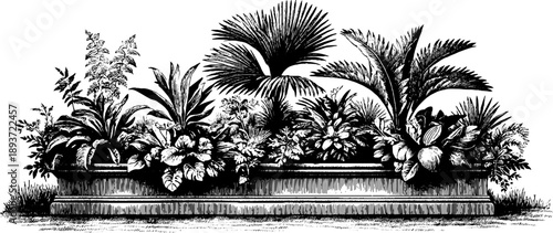 Vintage botanical engraving of rectangular wooden door panel for design