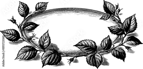 Vintage botanical ornamental frame with leaves and vines for design and decoration