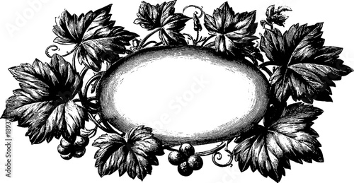 Ornamental round frame with leaves and vines botanical design