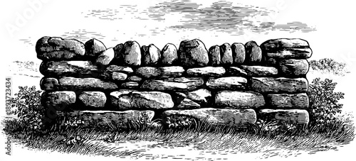 Rustic stone wall with botanical details from 19th century engraving for historical design