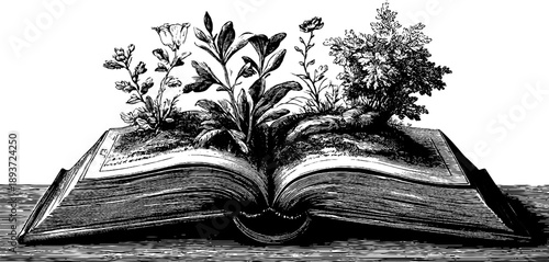 Vintage botanical engraving in scientific notebook with diagrams for educational design