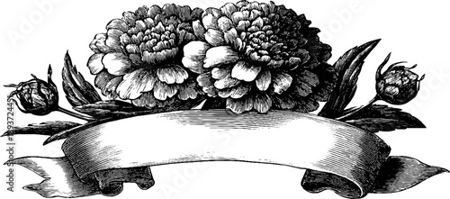 Vintage botanical scroll banner with decorative floral ends for design and decoration