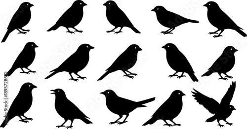 set of black bird silhouettes Vector elements for design