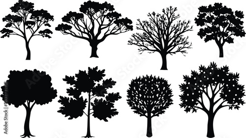 Set of eight detailed black tree silhouettes with varied foliage and branches