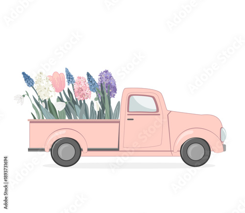 Pink vintage truck with spring flowers in the back. Hello Spring concept. Easter, woman day or birthday card. Flower delivery, vector isolated illustration.