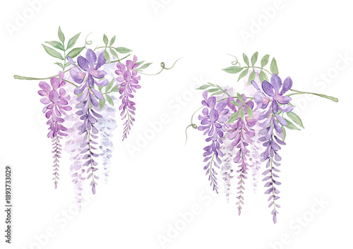 Watercolor purple wisteria flowers and branches elements set-300dpi-	