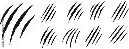animal Claw scratches mark set. Cat tiger dog lion and bear scratches paw shape. vector Illustration