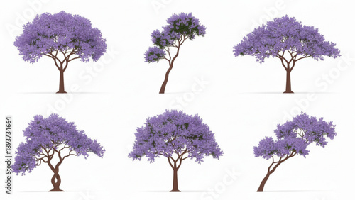 Collection of vibrant purple flowering trees on white background, showcasing diverse botanical forms and natural beauty