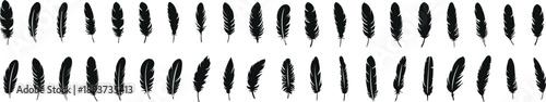 Set of Bird Feather. Feathers vector in a flat style. Pen icon. Black quill feather silhouette. Plumelet collection